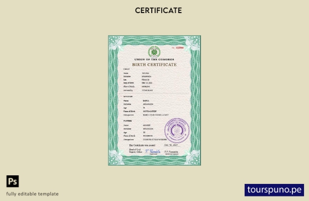 listo para imprimir plantilla PSD de certificado de nacimiento de registro vit 8